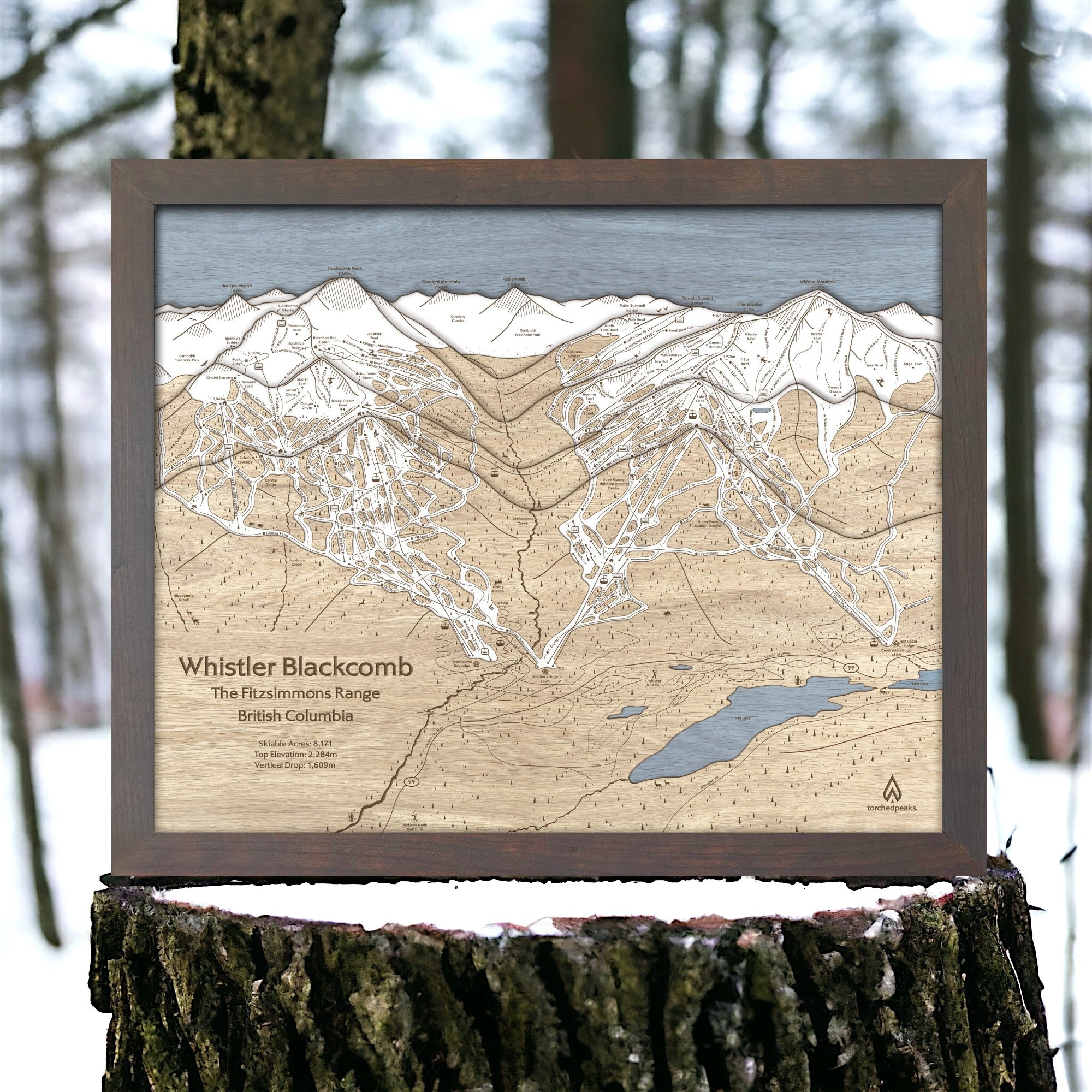Graphite-framed Whistler Blackcomb wood ski map displayed on a natural tree stump overlooking an a snow covered forest. 