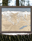 Graphite-framed Whistler Blackcomb wood ski map displayed on a natural tree stump overlooking an a snow covered forest. 