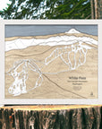 Wooden map of White Pass in the Cascade Mountains, Washington, displayed on a wooden stump with a natural background.