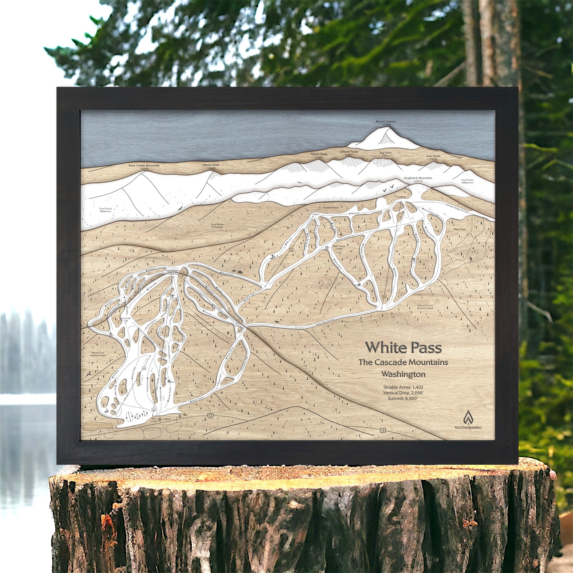Wooden map of White Pass Ski Resort in the Cascade Mountains, Washington, displayed on a tree stump with a natural background.