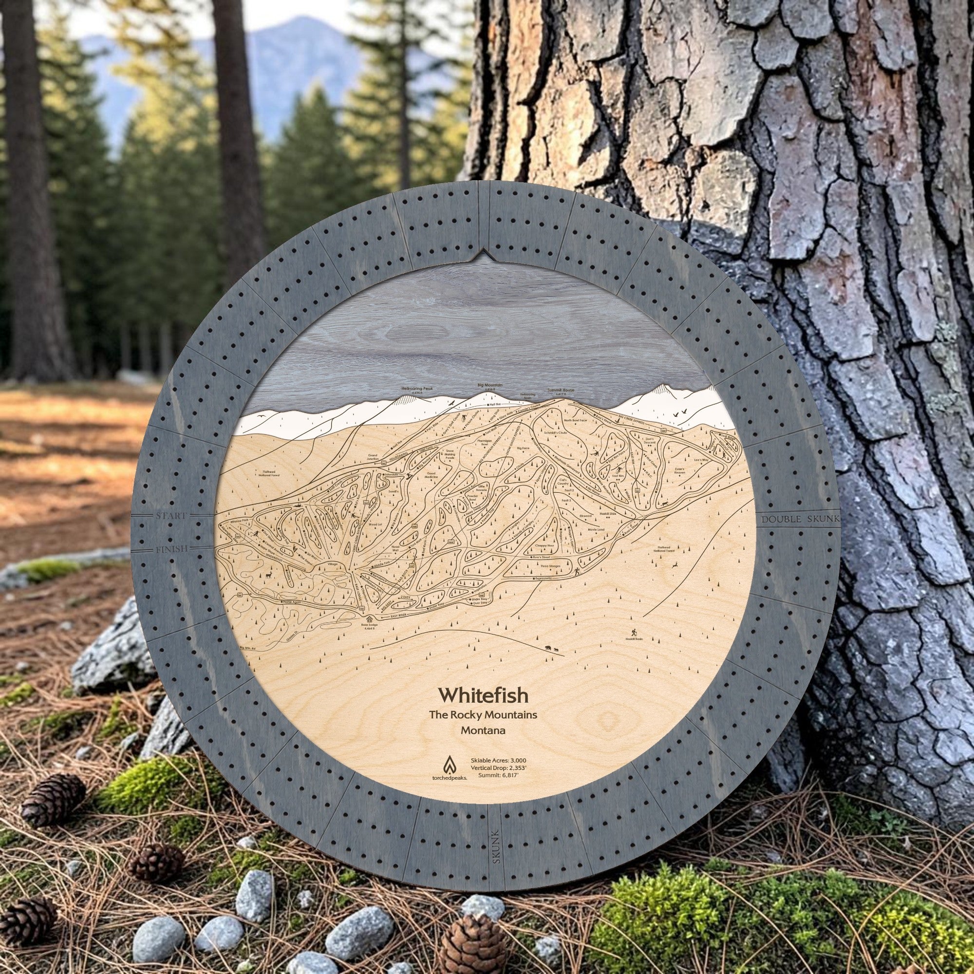 Graphite Grey Whitefish ski trail map cribbage board displayed outdoors against a pine tree in Montana.