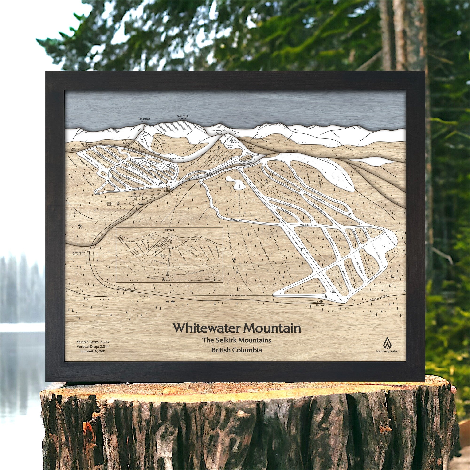 Framed wooden map of Whitewater Mountain framed on a tree stump with a natural background