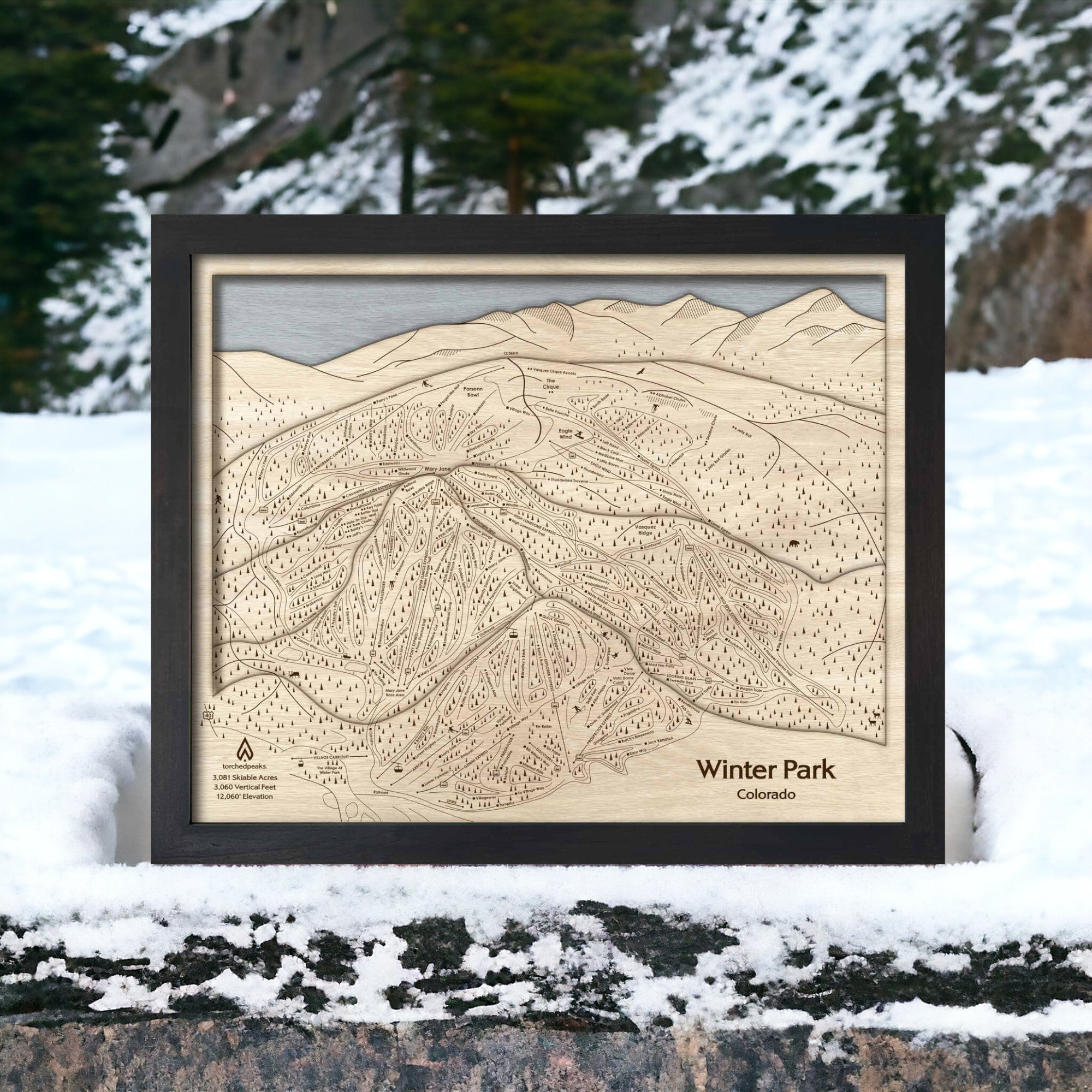 Winter Park Ski Resort Trail Map, Wall Art, Ski Cabin Art