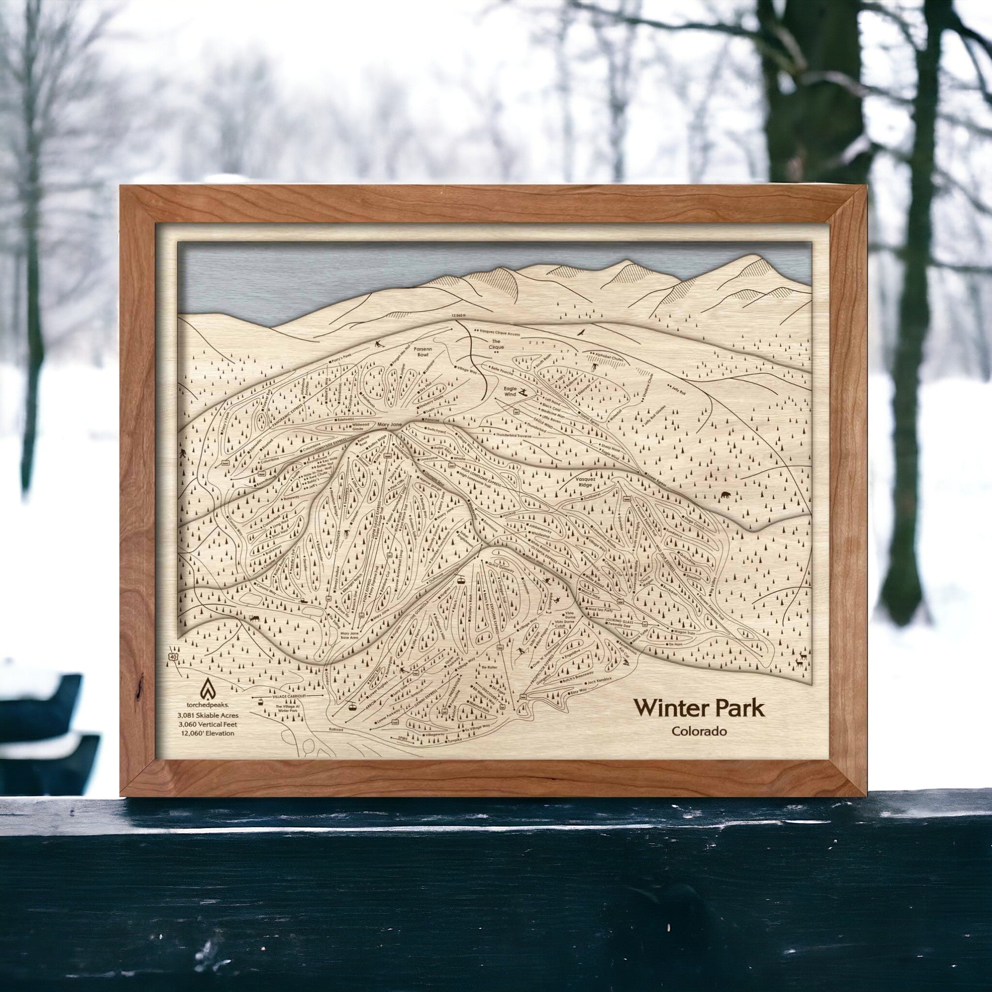 Winter Park Ski Skiing Map, A unique gift for skiers