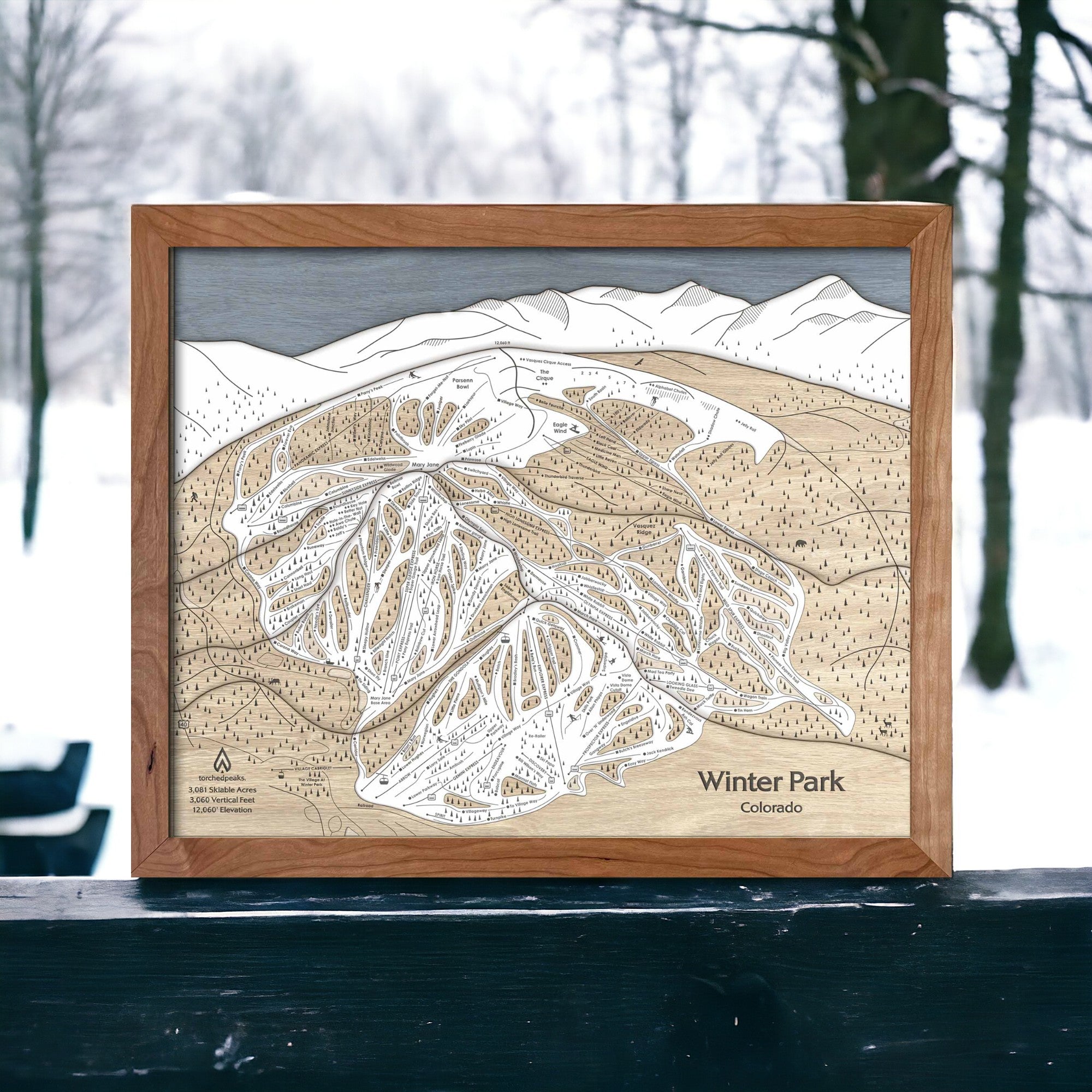 Ski House Decor - Winter Park Ski Trail Map 