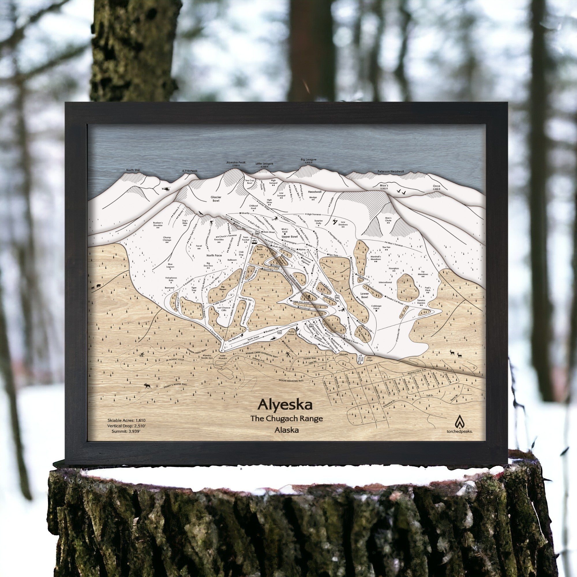 Gift for Skiers, Alyeska Alaska, Wooden Map