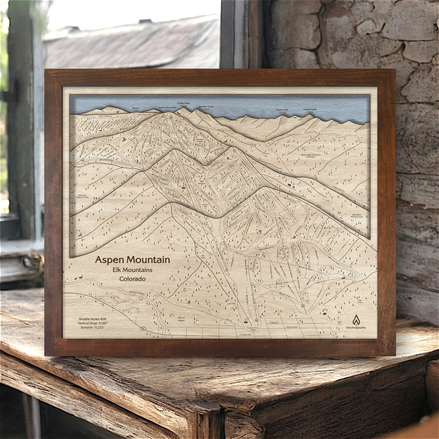 Aspen Mountain Framed Skiing Art