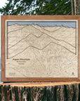 Aspen Mountain Art, Framed Skiing Wall Map