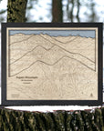 Aspen Mountain Trail Map, Framed Skiing Art