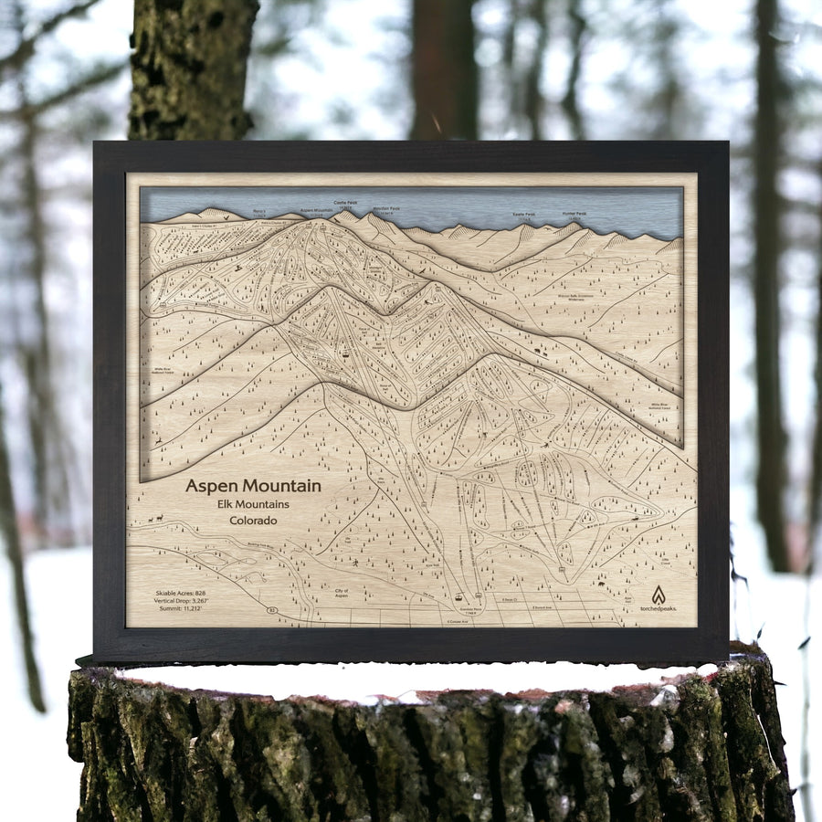 Aspen Mountain Trail Map, Framed Skiing Art