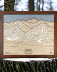 Attitash NH Ski Trail Map, Skiing Wall Art, Ski Cabin Decor