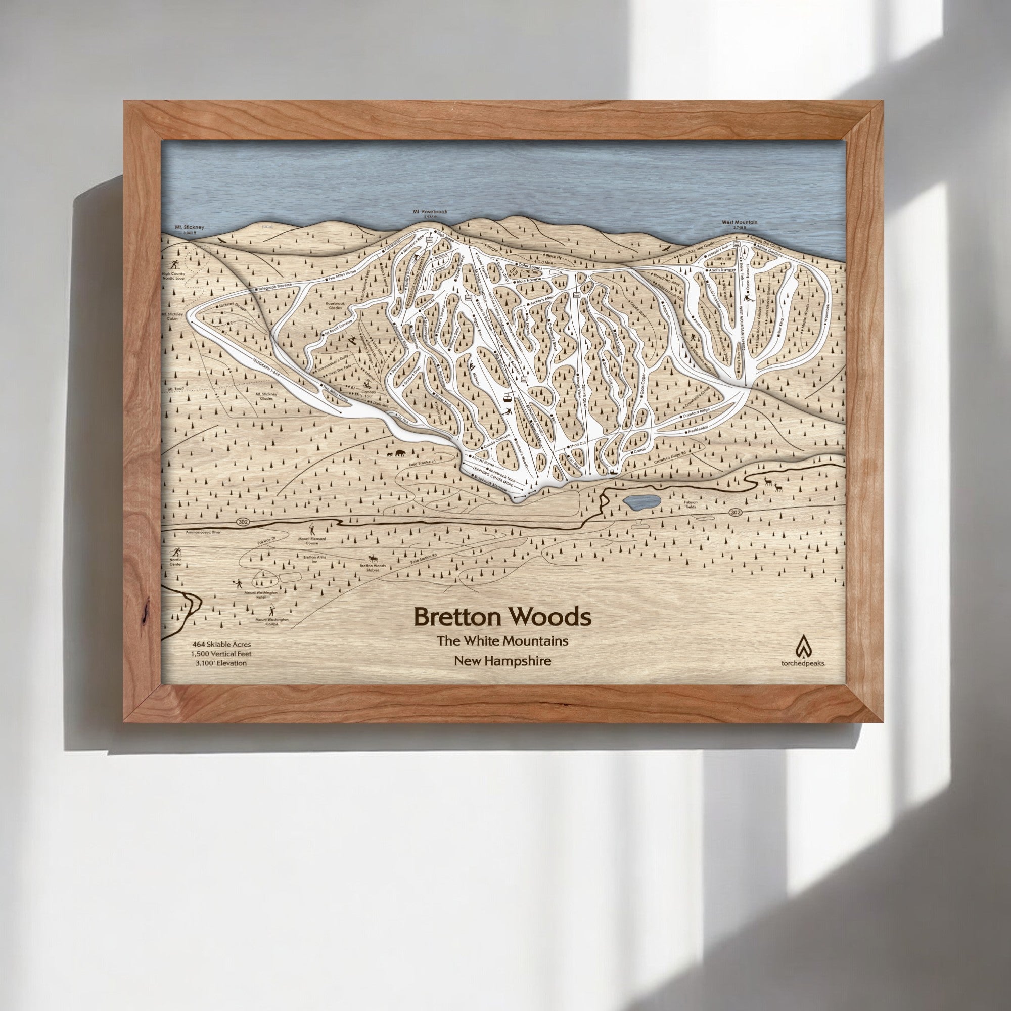 Bretton Woods Ski Poster, Framed Skiing Art