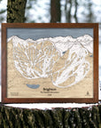 Brighton Ski Trail Map, Utah, Wooden Ski Cabin Decor designed by Artist Shawn Orecchio, Former pro snowboarder