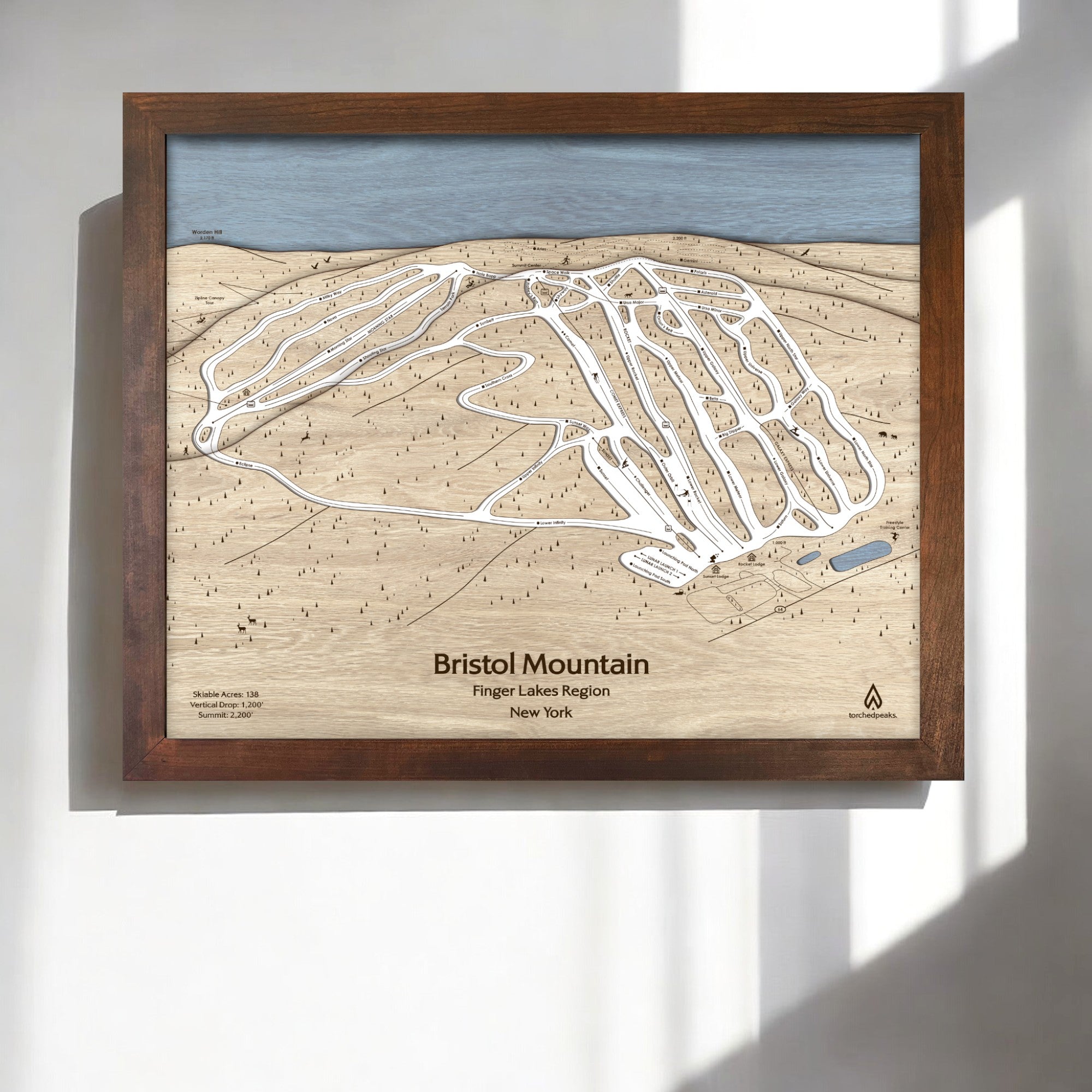 Bristol Mountain Wooden Ski Trail Sign