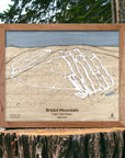 Bristol Mountain 3D Wood Ski Trail Map, Framed Skiing Art