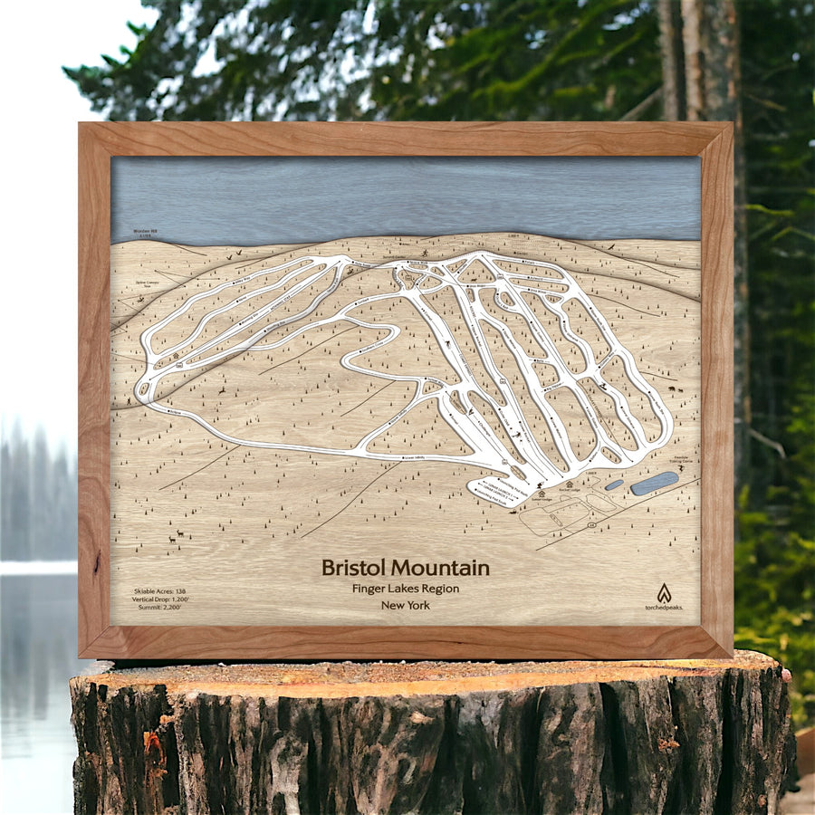 Bristol Mountain 3D Wood Ski Trail Map, Framed Skiing Art