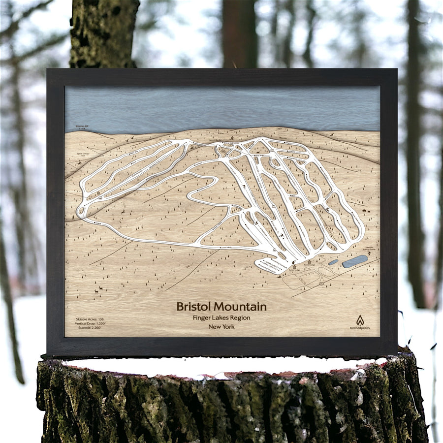 Bristol Mountain New York Wooden Ski Resort Sign