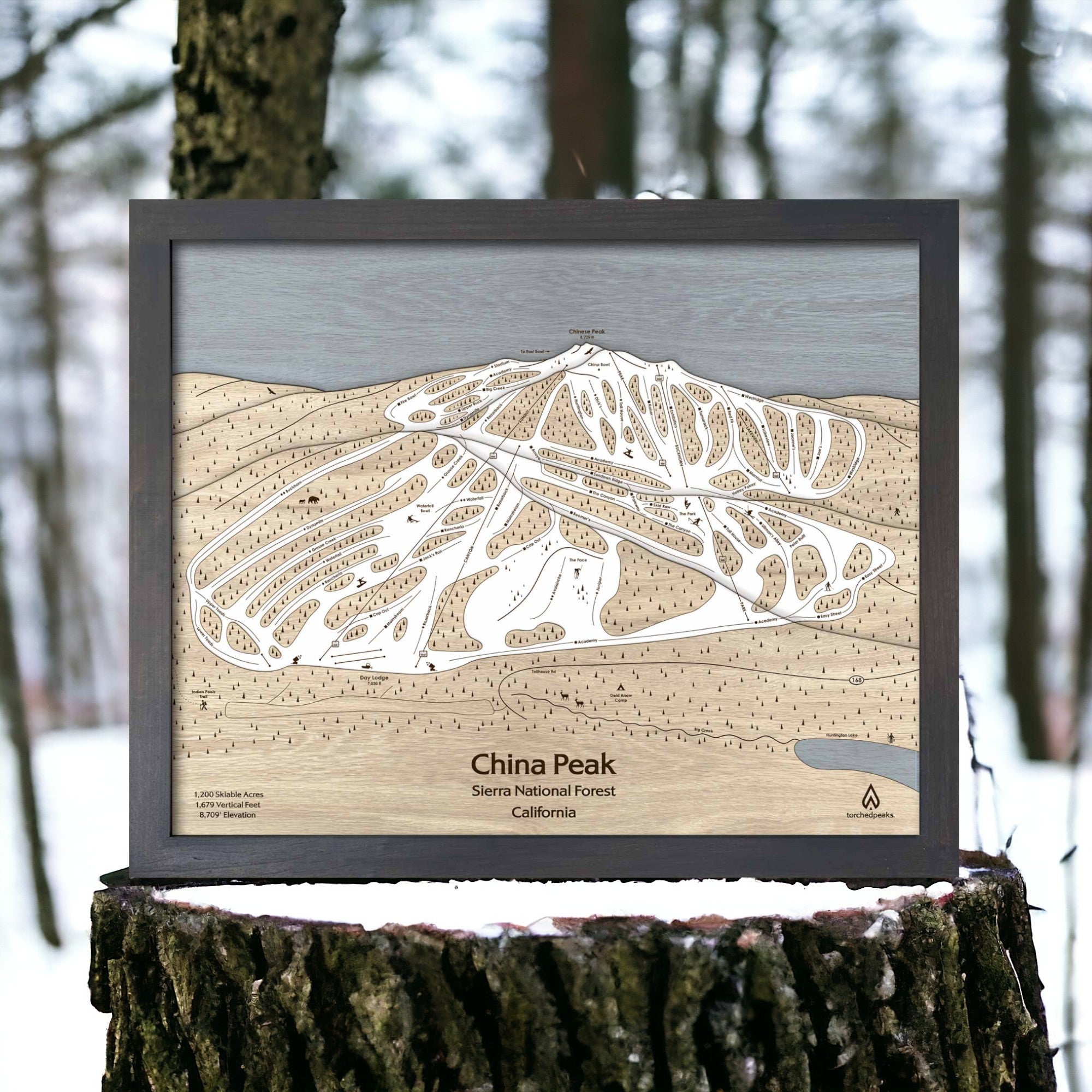 Ski House Decor: China Peak CA Wooden Ski Trail map