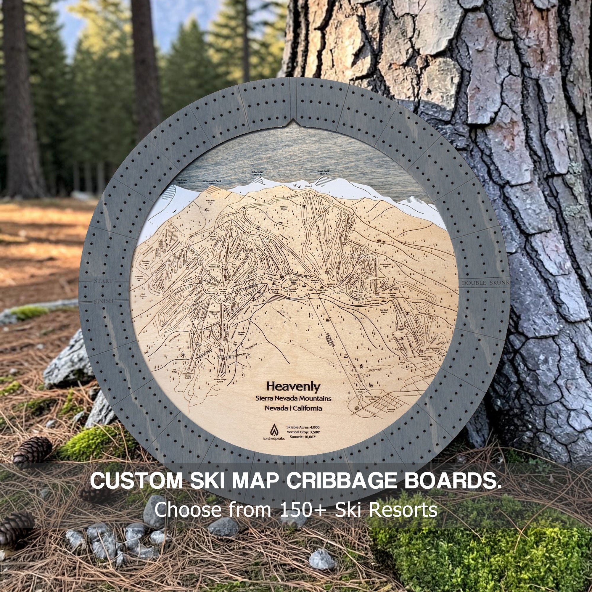 Handcrafted Ski Trail Map Cribbage Board with a dark grey 3-player cribbage track, featuring an engraved wooden map of a Ski Resort, displayed leaning against a tree in a forest setting.