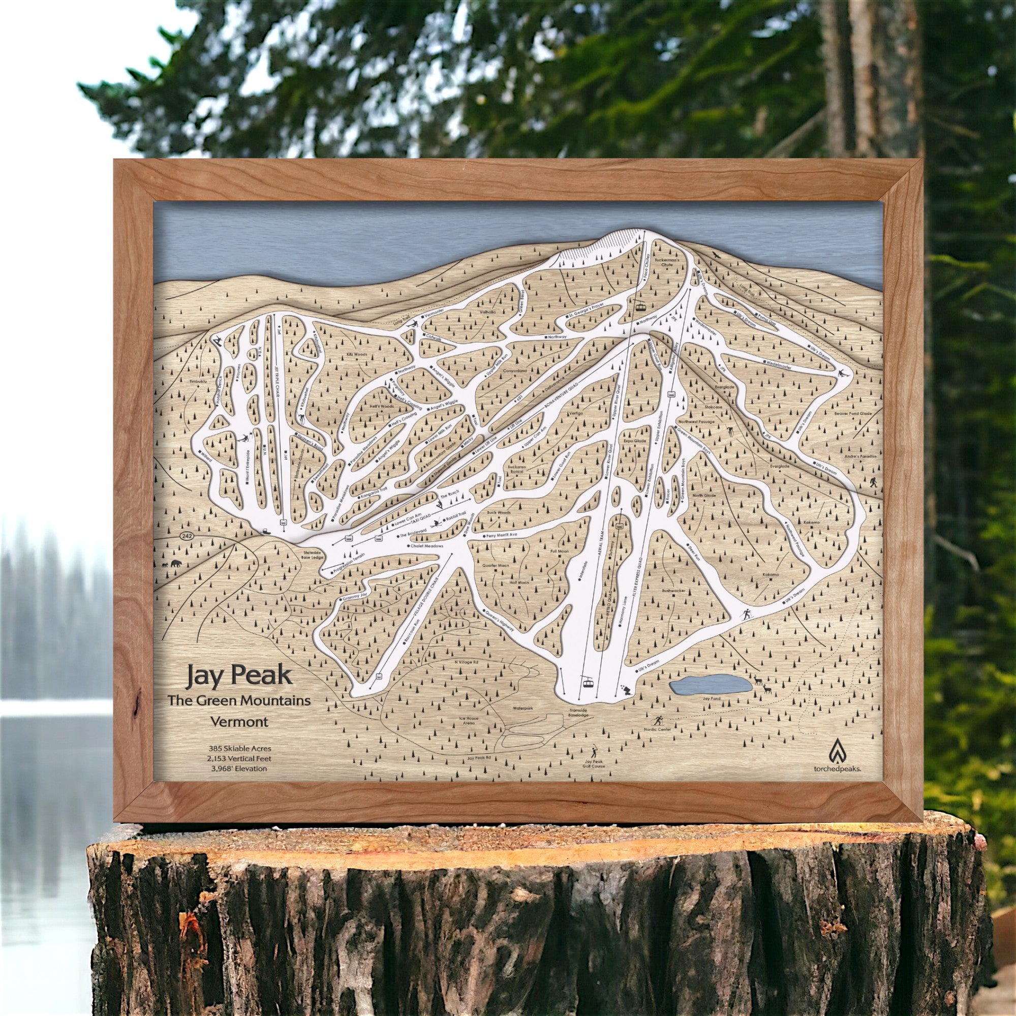 Jay Peak Artwork, Wooden Ski Resort Tral Map