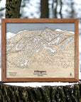 Ski House decor: Killington Mountain Wooden Ski Trail Map