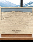 Magic Mountain Wooden Ski Map Art