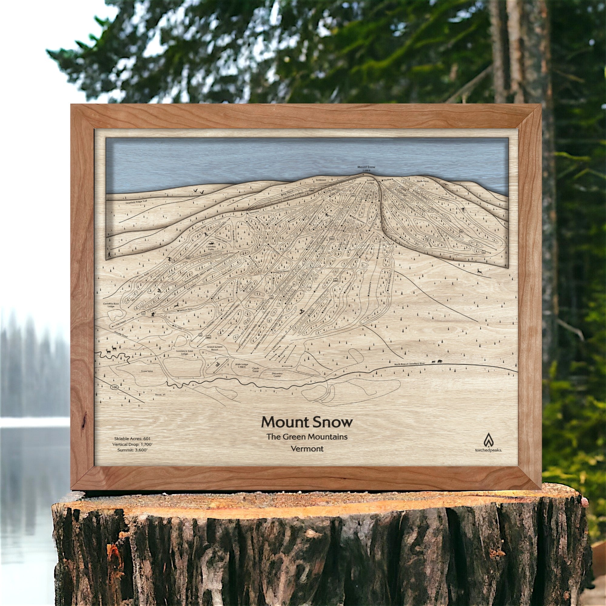 Mount Snow Vermont Wooden Ski Sign