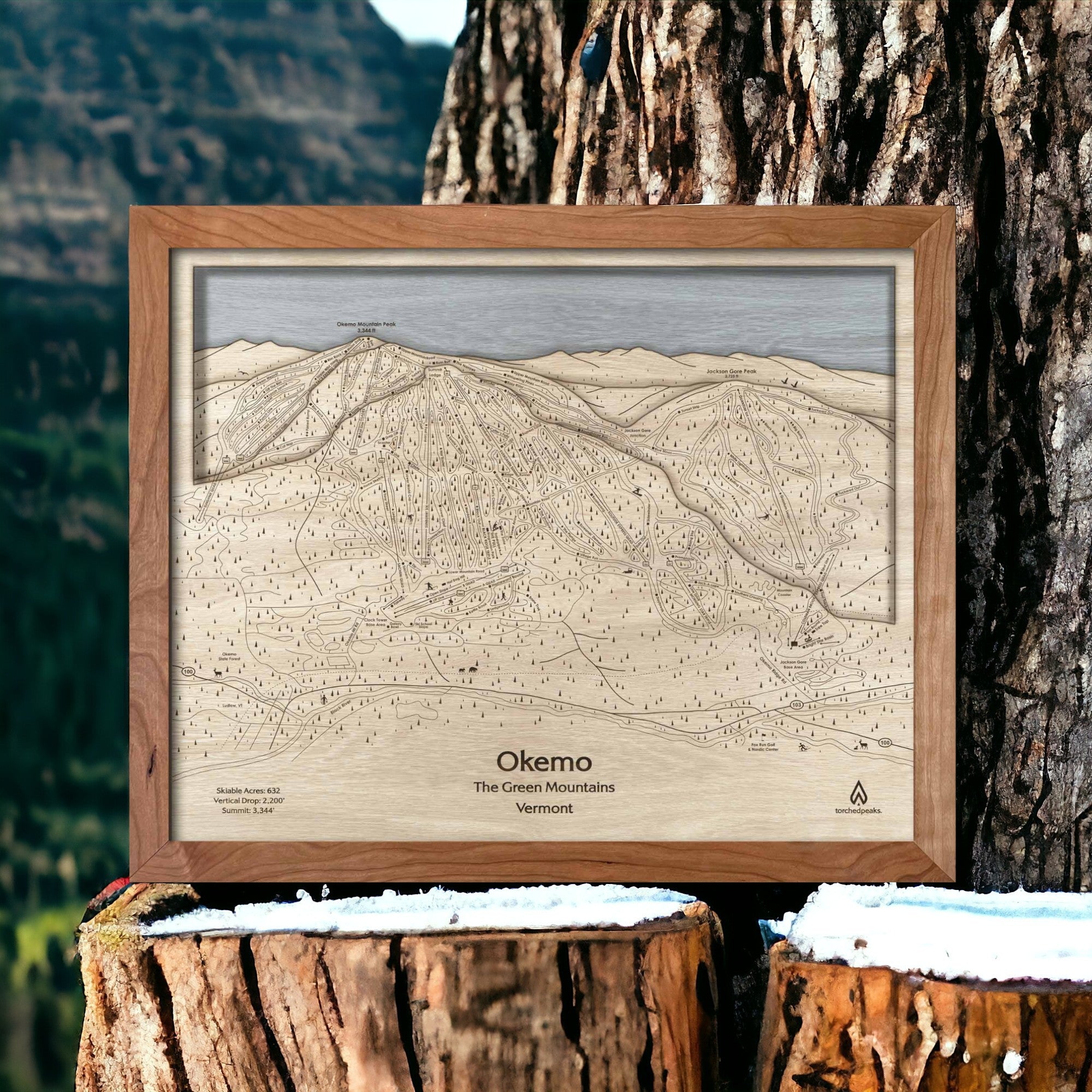 Okemo Mountain Ski House Decor