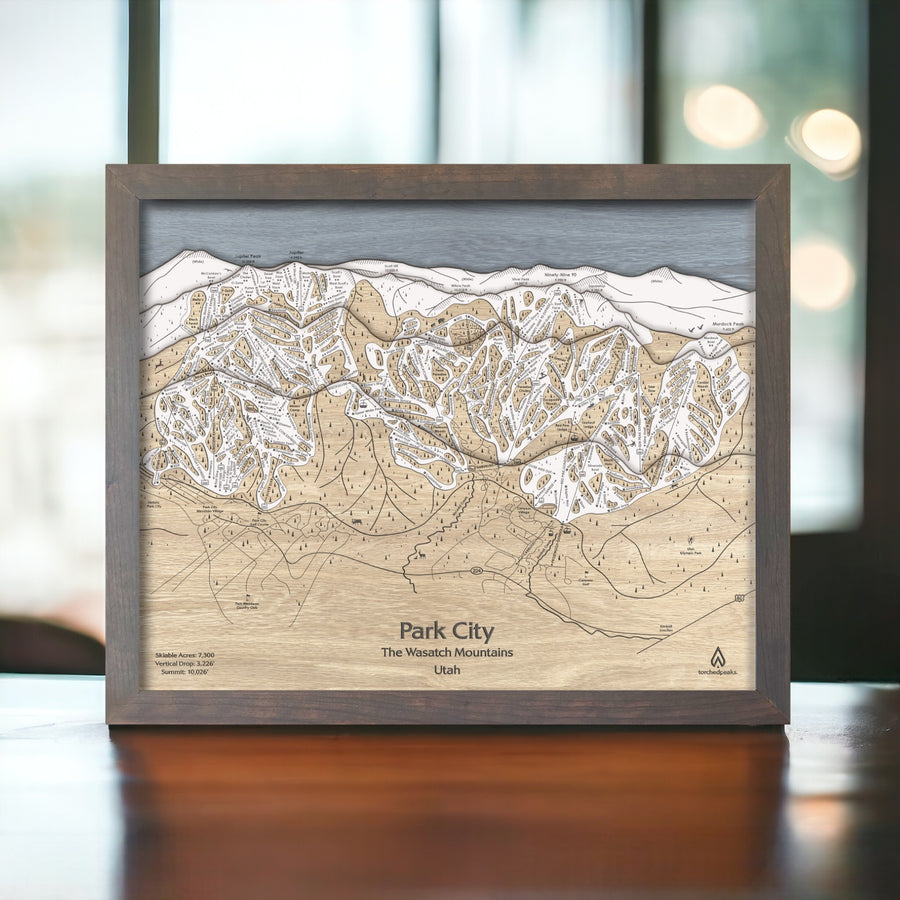 Skiing Decor: Wooden Park City Map