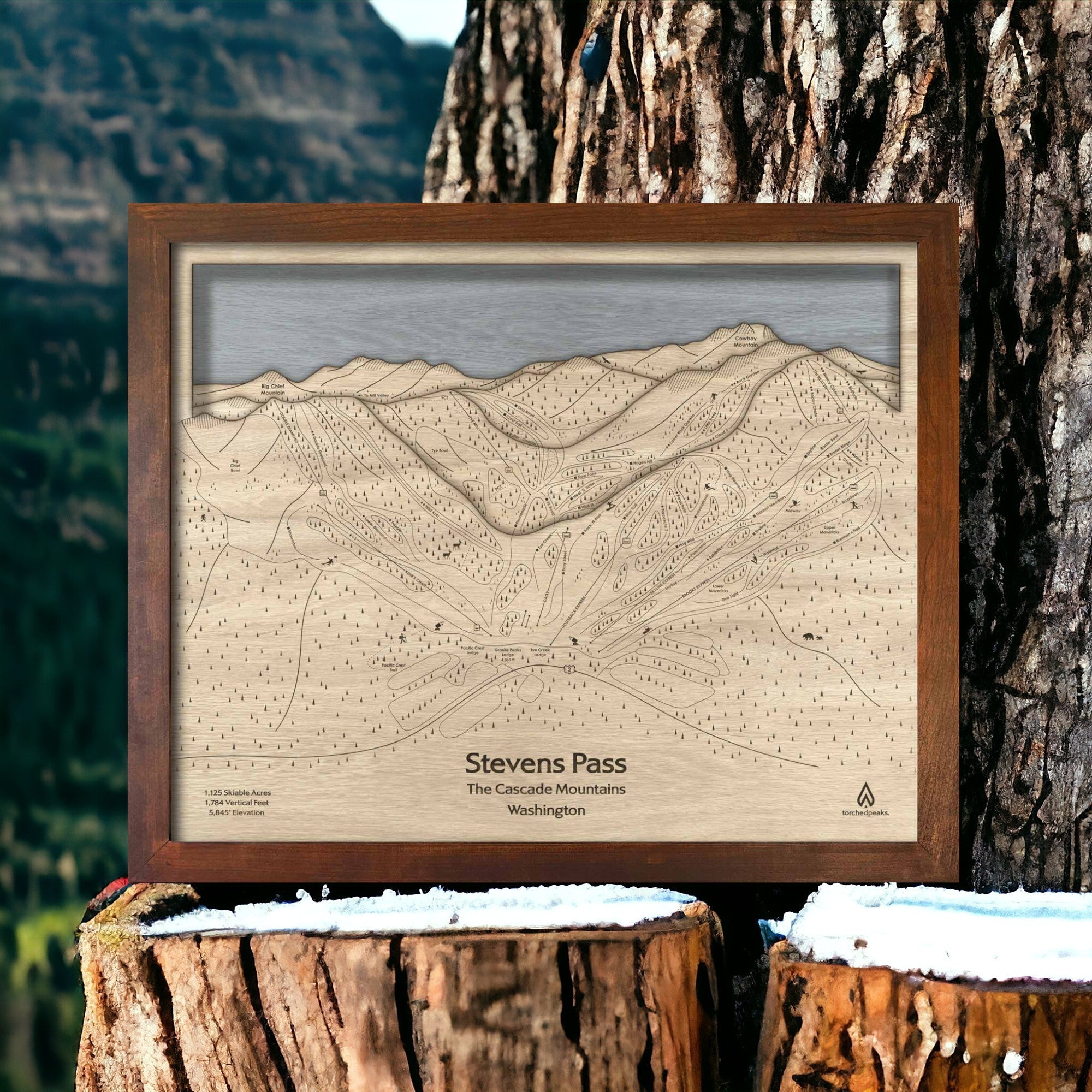 Unique Ski House Decor, Torched Peaks Skiing Map of Stevens Pass Washington. 
