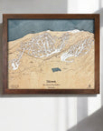 Stowe VT Ski Map, Framed Skiing Wall Art