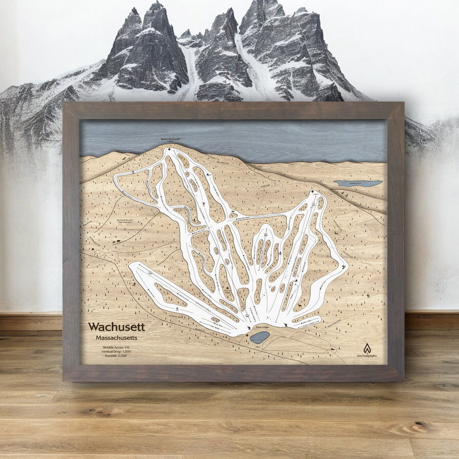 Wachusett Mountain Framed Wall Art