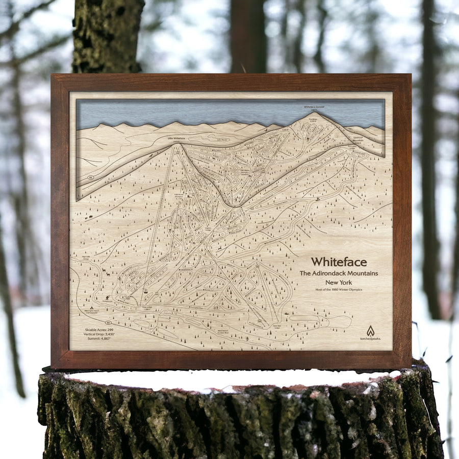 Whiteface NY Ski Trail Map, Framed Skiing Art, Ski Decor