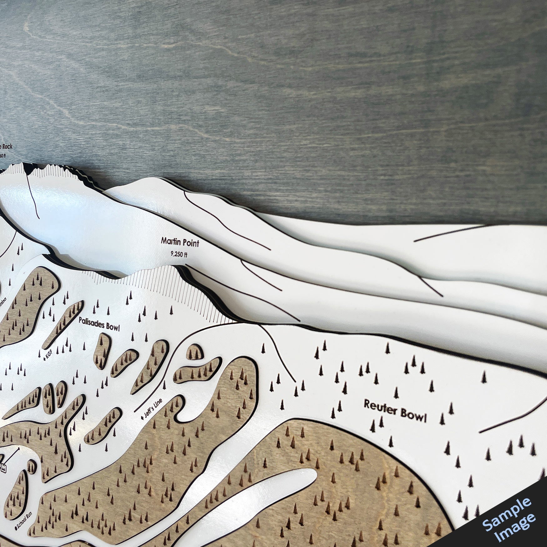 Tahoe Donner XC, California